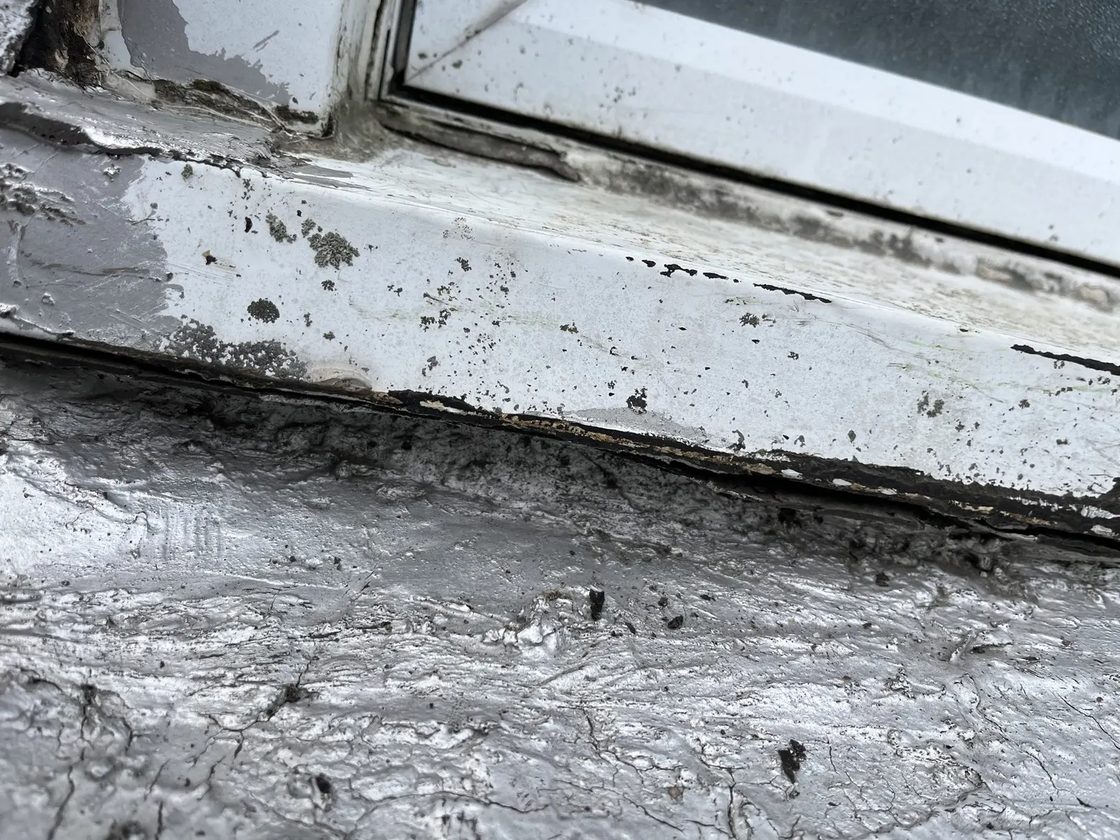 Flat Roof Leak Repair · Highland Park, photo 1