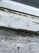 Flat Roof Leak Repair · Highland Park, 1