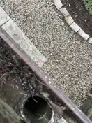 Gutter Cleaning & Roof Check · Palatine, 2
