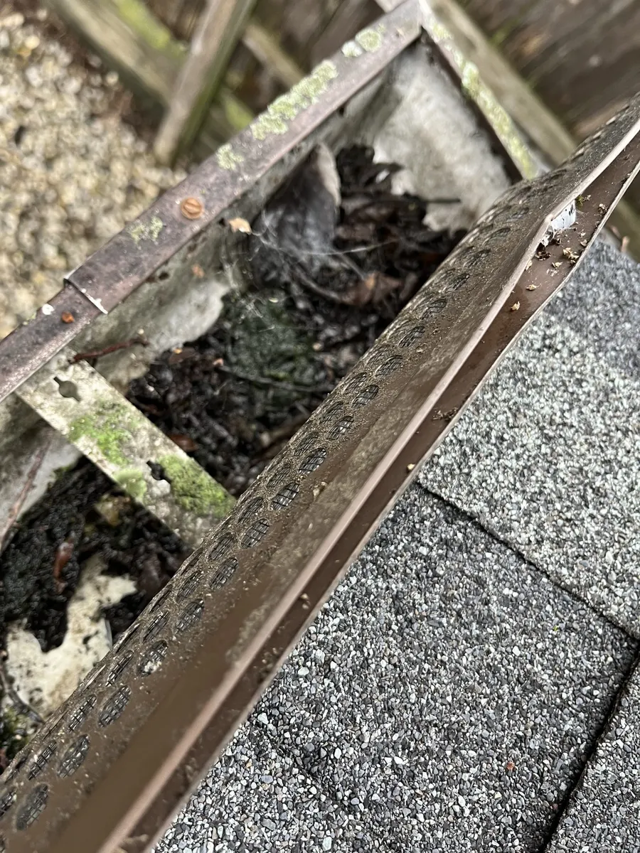Gutter Cleaning & Roof Check · Palatine, photo 1