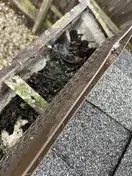 Gutter Cleaning & Roof Check · Palatine, 1