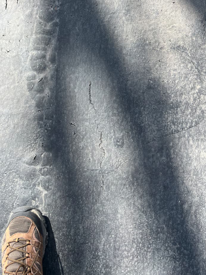Aged flat roof with cracks and bubbles in the membrane, Winnetka IL