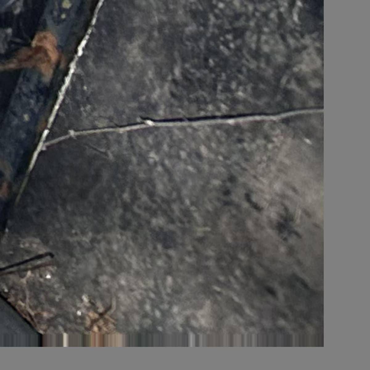 Cracked flat roof membrane during inspection, Winnetka stone home